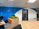 Zeta Whiteboard Paint (CLEAR)